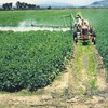 Fungicide